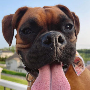 Meet your Posher, Kylie